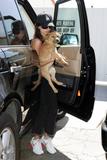 th_97880_Penelope_Cruz_takes_her_puppy_to_the_vet_01_360lo.jpg