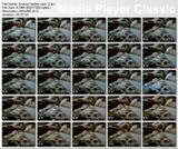 http://img41.imagevenue.com/loc439/th_32483_Grannyhiddencam2.avi_thumbs_2011.09.15_18.27.43_123_439lo.jpg