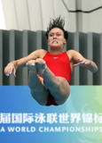 http://img41.imagevenue.com/loc137/th_46284_diving_world_champs_shanghai_2011_263_122_137lo.jpg