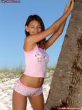 WebeWeb – Lily Model (sets 01-72)