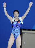 http://img41.imagevenue.com/loc31/th_46127_diving_world_champs_shanghai_2011_245_122_31lo.jpg